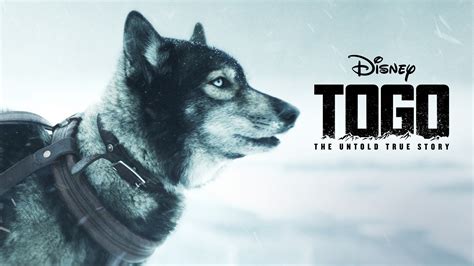 Watch Togo (2019) Full Movie Online Free .
